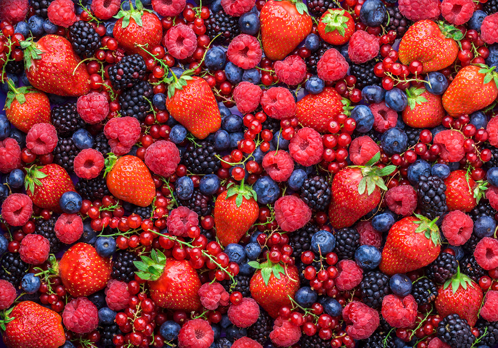 Inicia diálogo con el sector de berries sobre el mecanismo de certificación laboral para la agroexportación / Por Alicia Valverde
