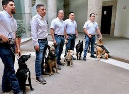 Capacitan a caninos para detener gusano barrenador en Jalisco