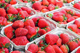 Van contra las fresas mexicanas, inician investigación por dumping