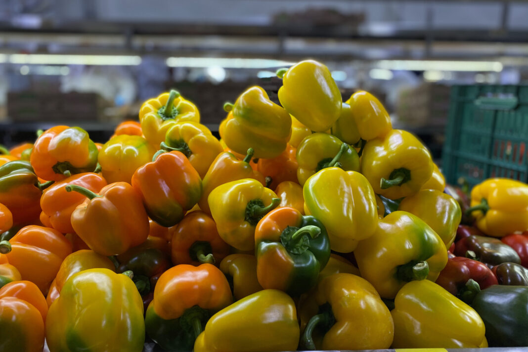 Envía México primer embarque chile morrón a Japón; también se espera exportar otros chiles y mango: CNA / Por Alicia Valverde