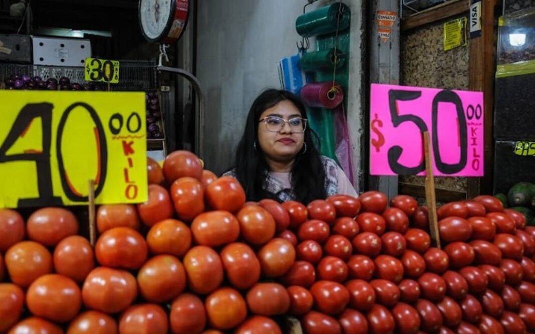 Alza del precio del jitomate se mantendrá hasta mayo: Sistema Producto Tomate / Por Alicia Valverde