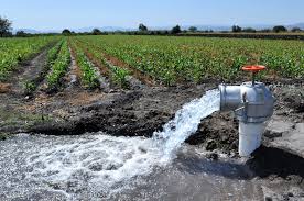 Llaman a productores a regularizar concesiones de agua / Por Alicia Valverde