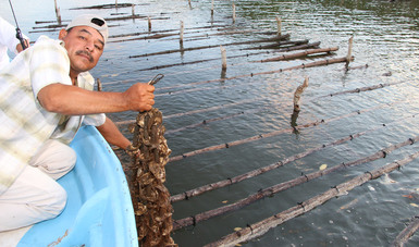 Incrementa Conapesca en 500 pesos el apoyo del componente Bienpesca / Por Alicia Valverde