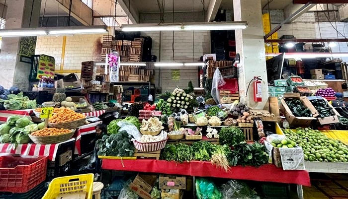Alertan incremento de precios en alimentos por aumento de precios de fertilizantes / Por Alicia Valverde