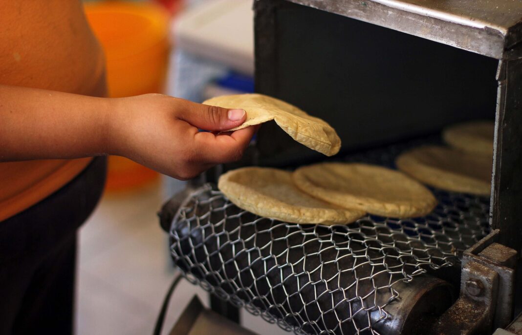 Llama Sader a tortillerías a adherirse al Acuerdo Nacional Maíz–Tortilla para estabilizar el precio del alimento básico / Por Alicia Valverde